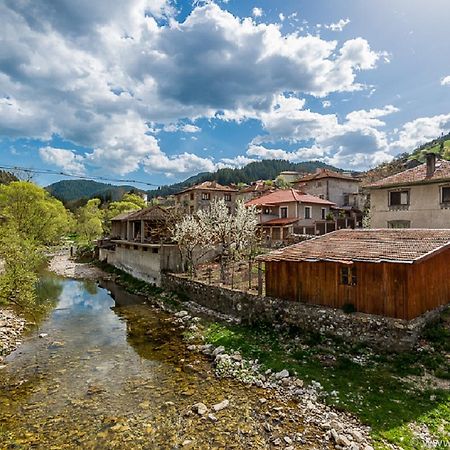 Trigrad Hotel Εξωτερικό φωτογραφία